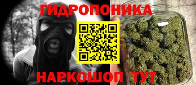 ешки Шелехов